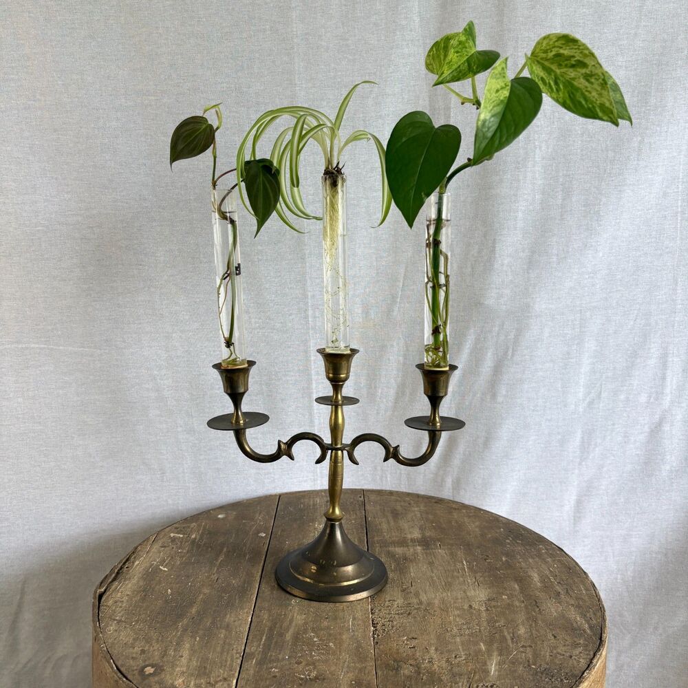 Vintage Brass 3 Arm Candelabra Candle Holder Made in India 8"